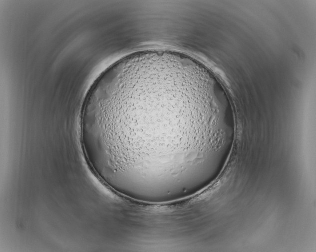 X0000110901239200907021531