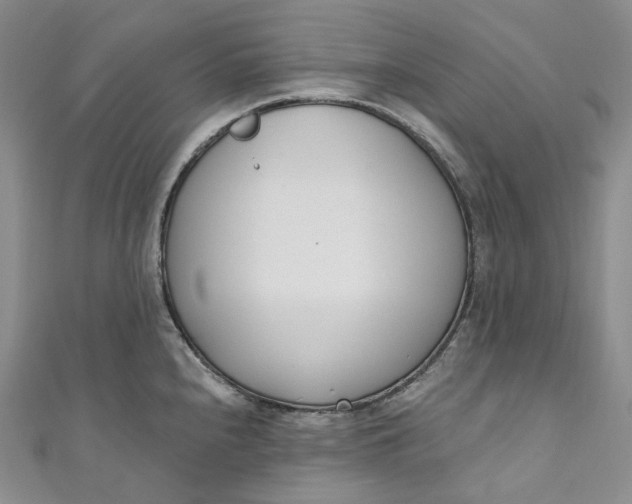 X0000110901240200907021531