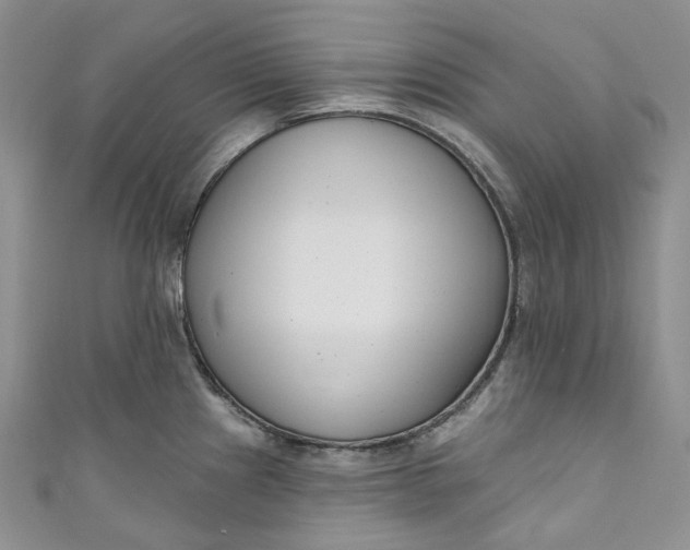 X0000110901241200907021531