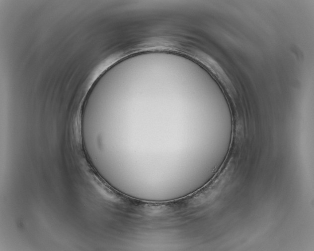 X0000110901242200907021531