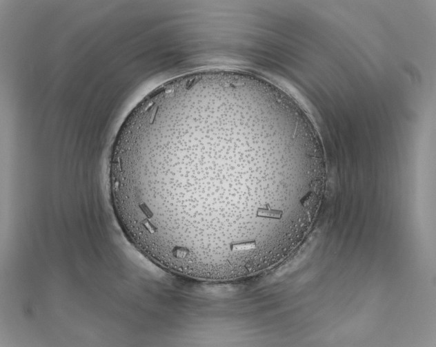 X0000110901243200907021531
