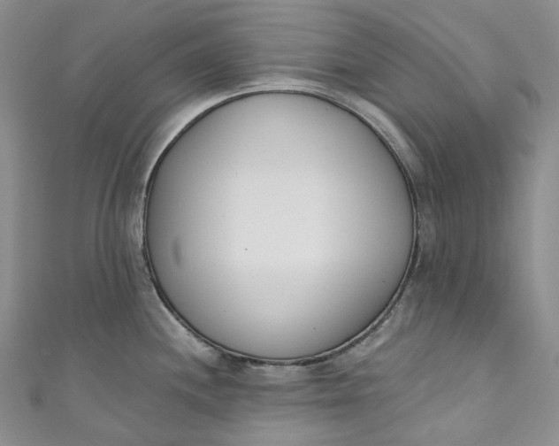 X0000110901244200907021531