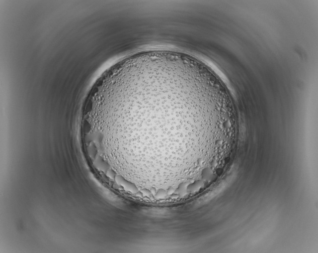 X0000110901245200907021531