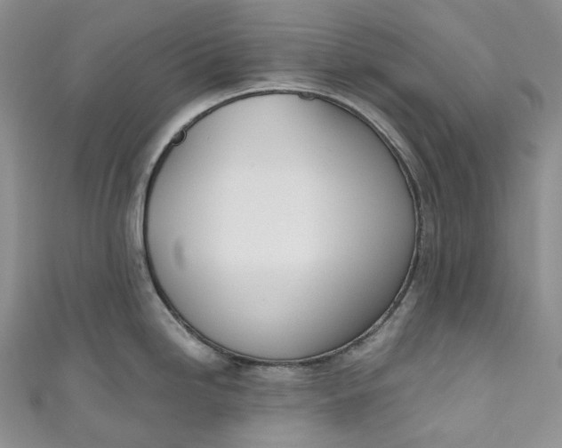 X0000110901246200907021531