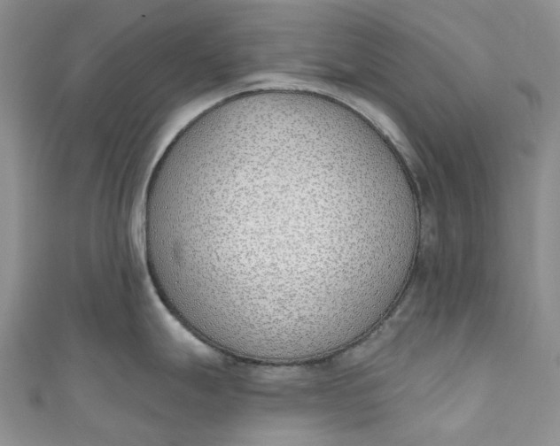 X0000110901247200907021531