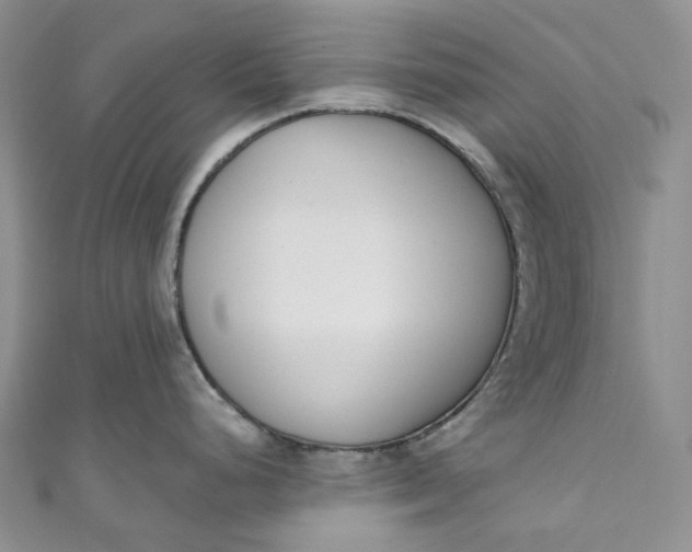 X0000110901248200907021531