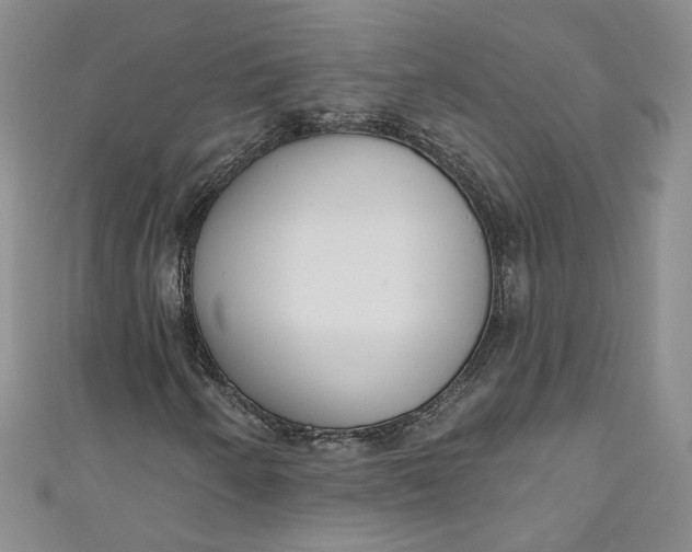 X0000110901250200907021530