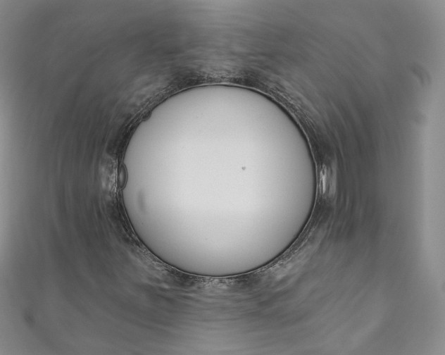 X0000110901251200907021530