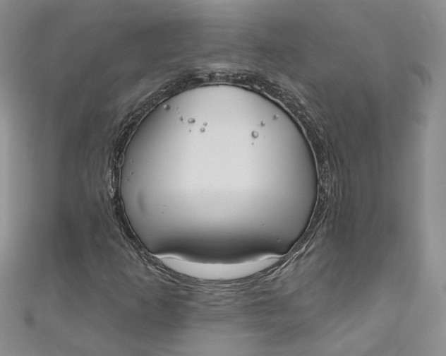 X0000110901253200907021530
