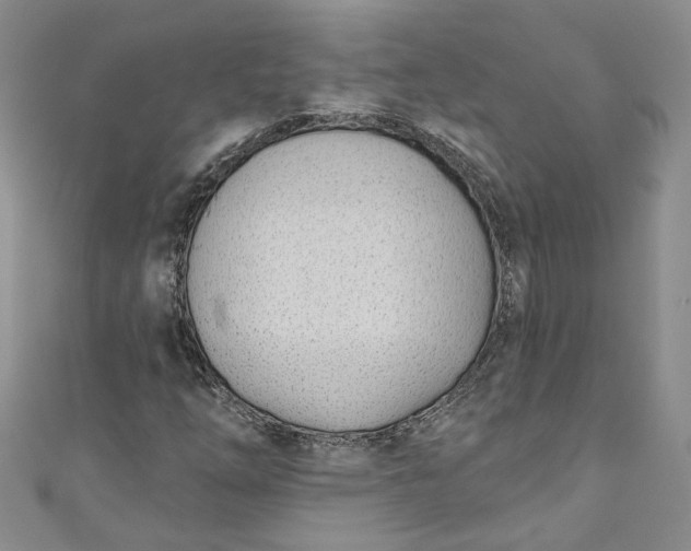 X0000110901254200907021530