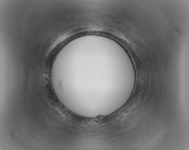 X0000110901255200907021530