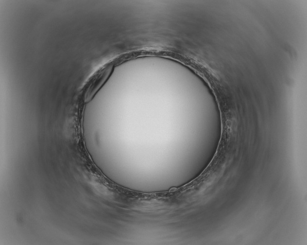 X0000110901256200907021530