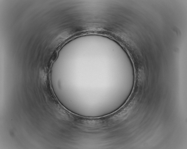 X0000110901257200907021530