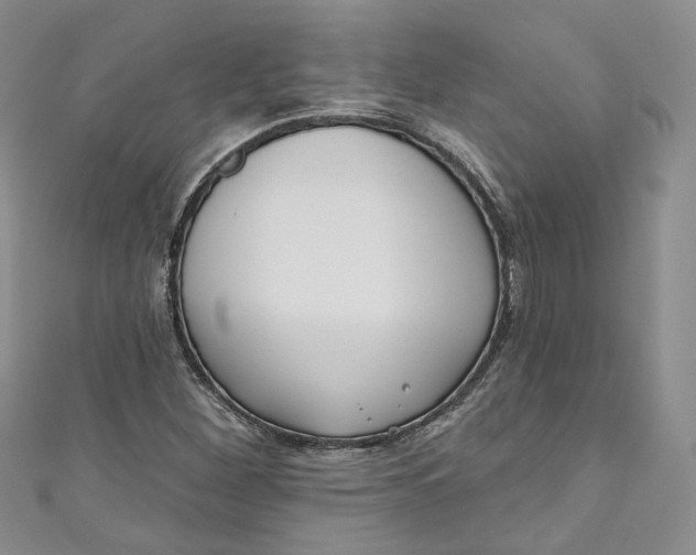 X0000110901260200907021530