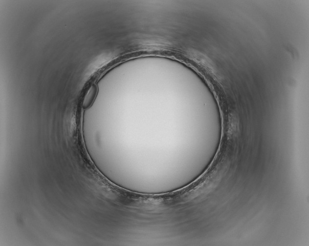 X0000110901261200907021530