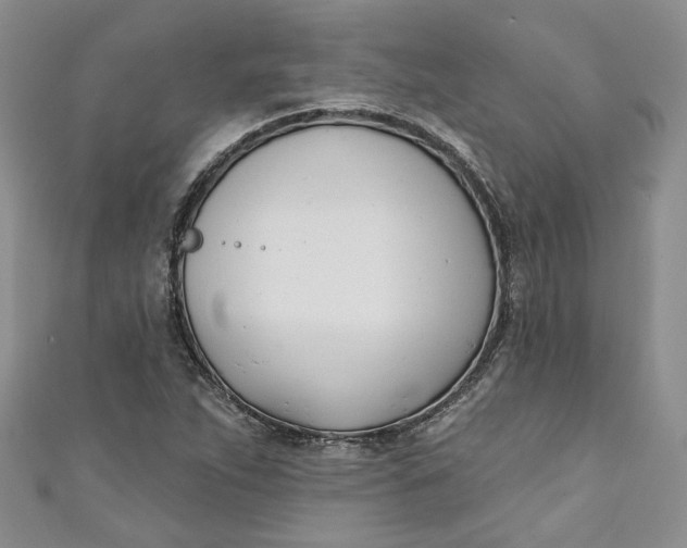 X0000110901263200907021530