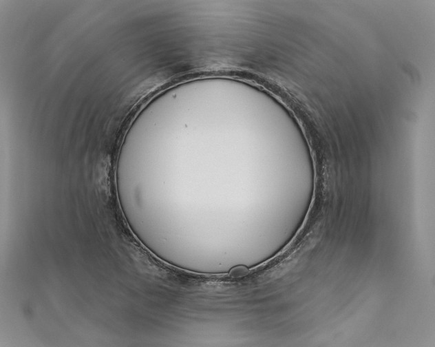 X0000110901265200907021530