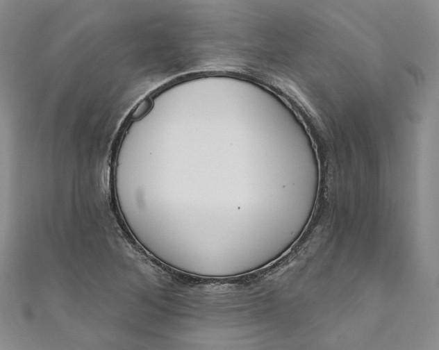 X0000110901268200907021530