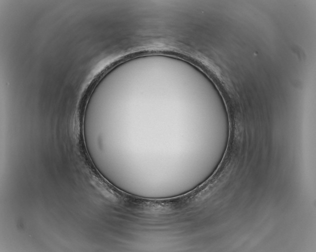 X0000110901270200907021530