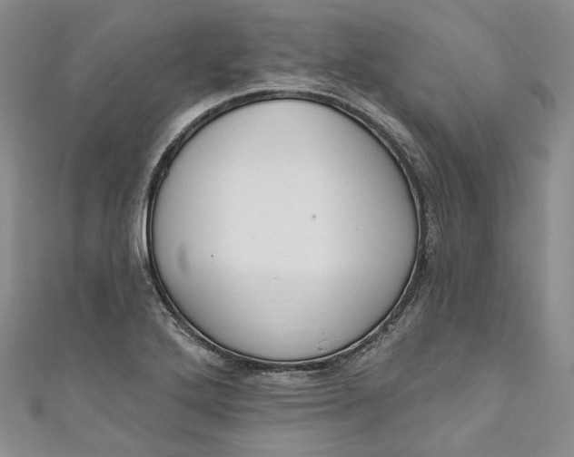 X0000110901272200907021530