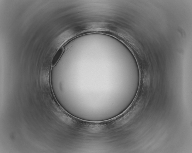 X0000110901273200907021530
