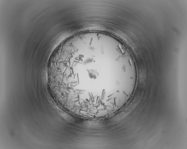 X0000110901274200907021530