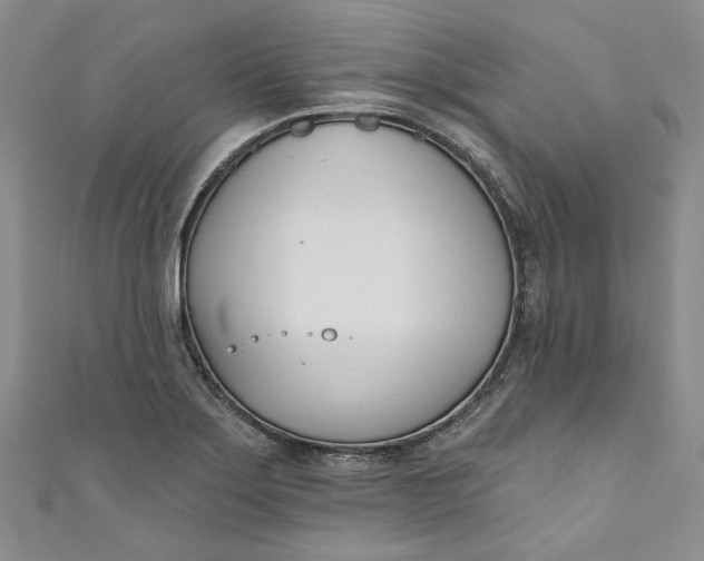 X0000110901275200907021530