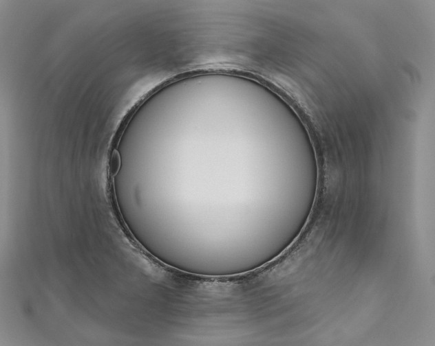 X0000110901277200907021530