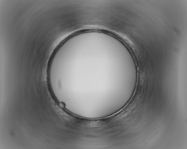 X0000110901279200907021530