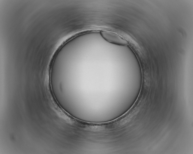 X0000110901280200907021530