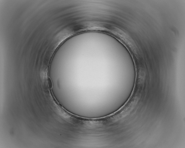 X0000110901281200907021530