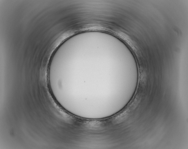 X0000110901282200907021530