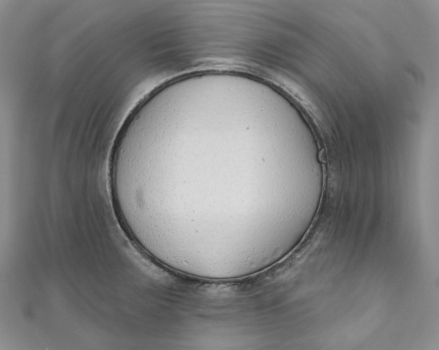 X0000110901283200907021530
