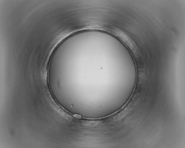 X0000110901284200907021530