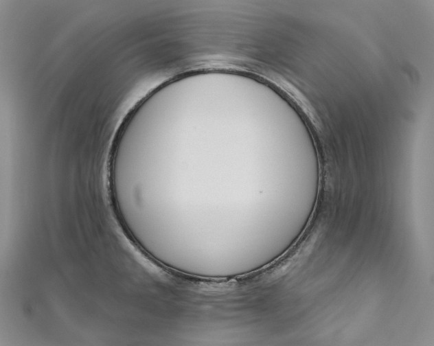 X0000110901285200907021530