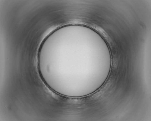 X0000110901286200907021530