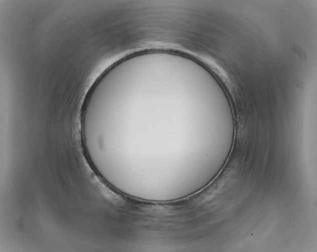 X0000110901287200907021530