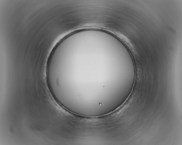 X0000110901288200907021530