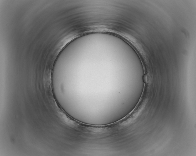 X0000110901289200907021530