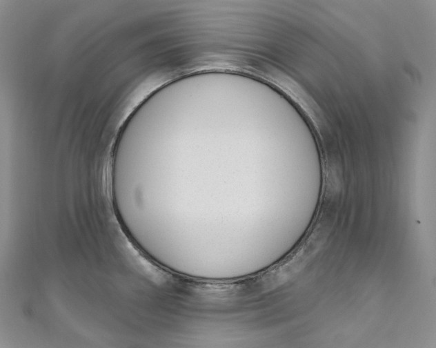 X0000110901290200907021530