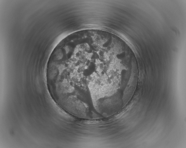 X0000110901291200907021530