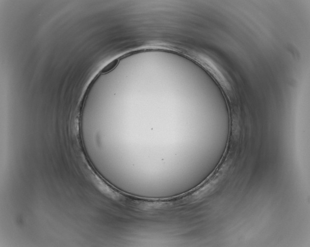 X0000110901292200907021530