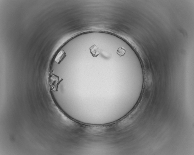 X0000110901294200907021530