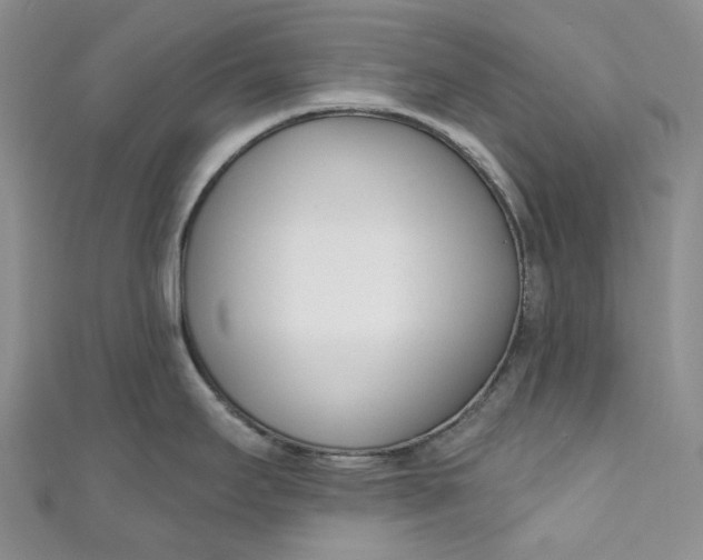 X0000110901295200907021530