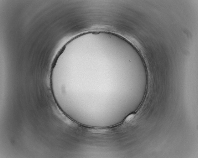 X0000110901296200907021530
