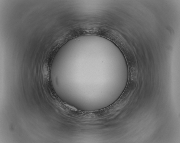 X0000110901298200907021529