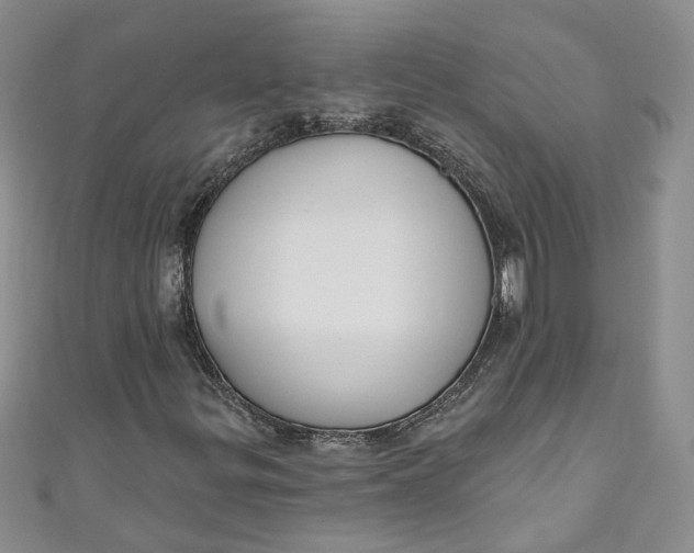 X0000110901299200907021529