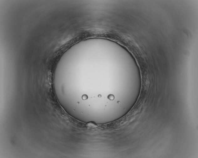 X0000110901301200907021529