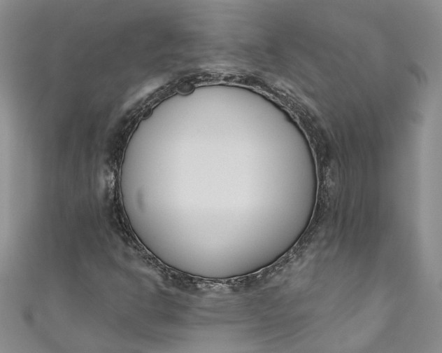 X0000110901302200907021529