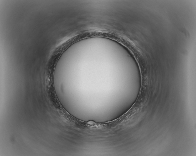 X0000110901303200907021529